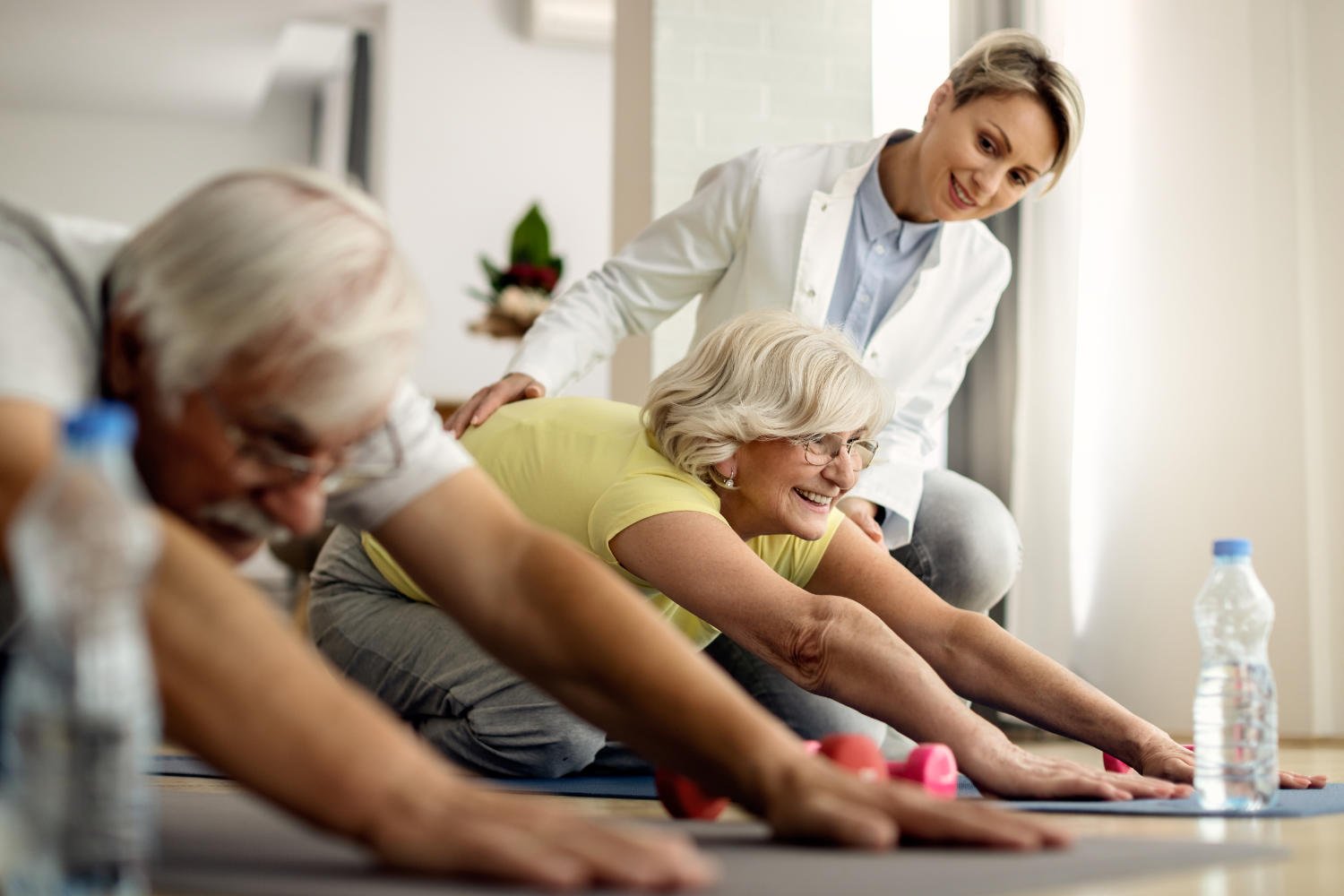 Promoting Physical Mobility and Fitness in Seniors